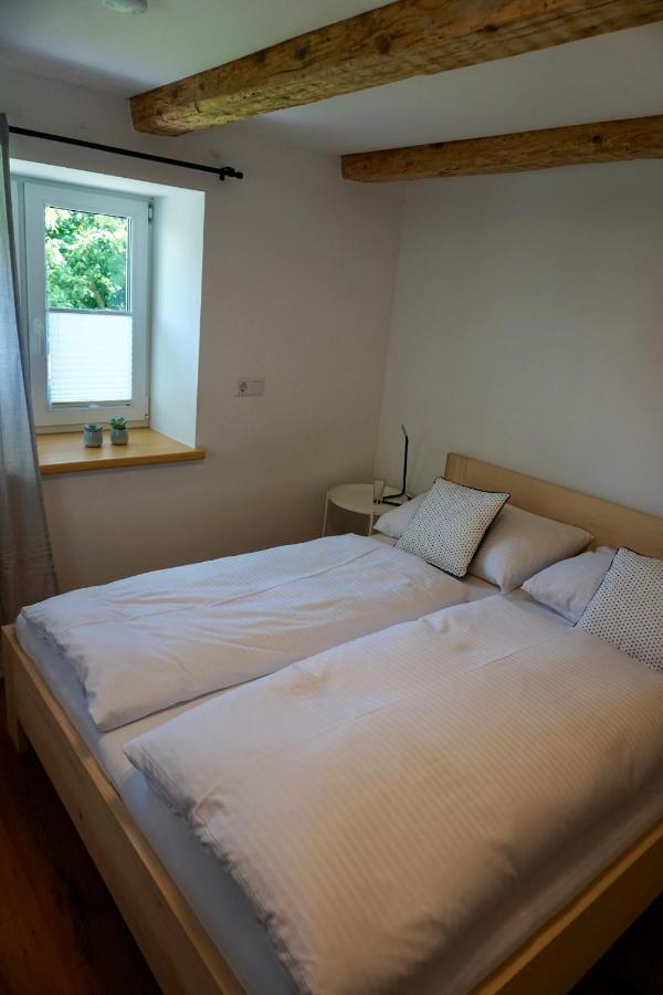 Beeindruckende Wohnung Im Rheintal 格齐斯 外观 照片