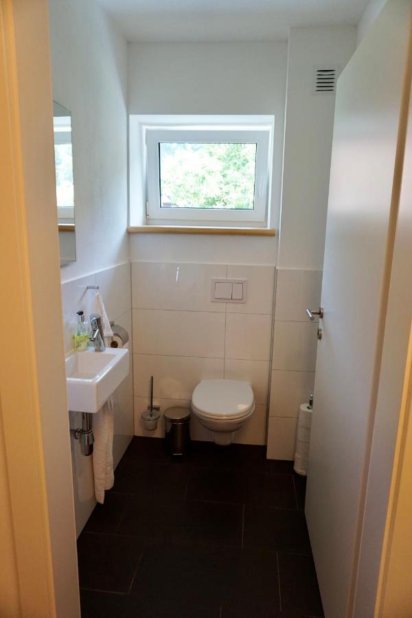 Beeindruckende Wohnung Im Rheintal 格齐斯 外观 照片
