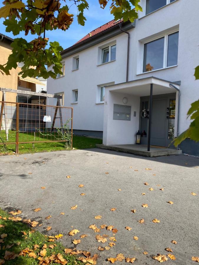 Beeindruckende Wohnung Im Rheintal 格齐斯 外观 照片